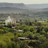 Explosive growth in a desert town