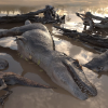 How a mass fossil site in southern Utah may have proved emerging theory about tyrannosaurs