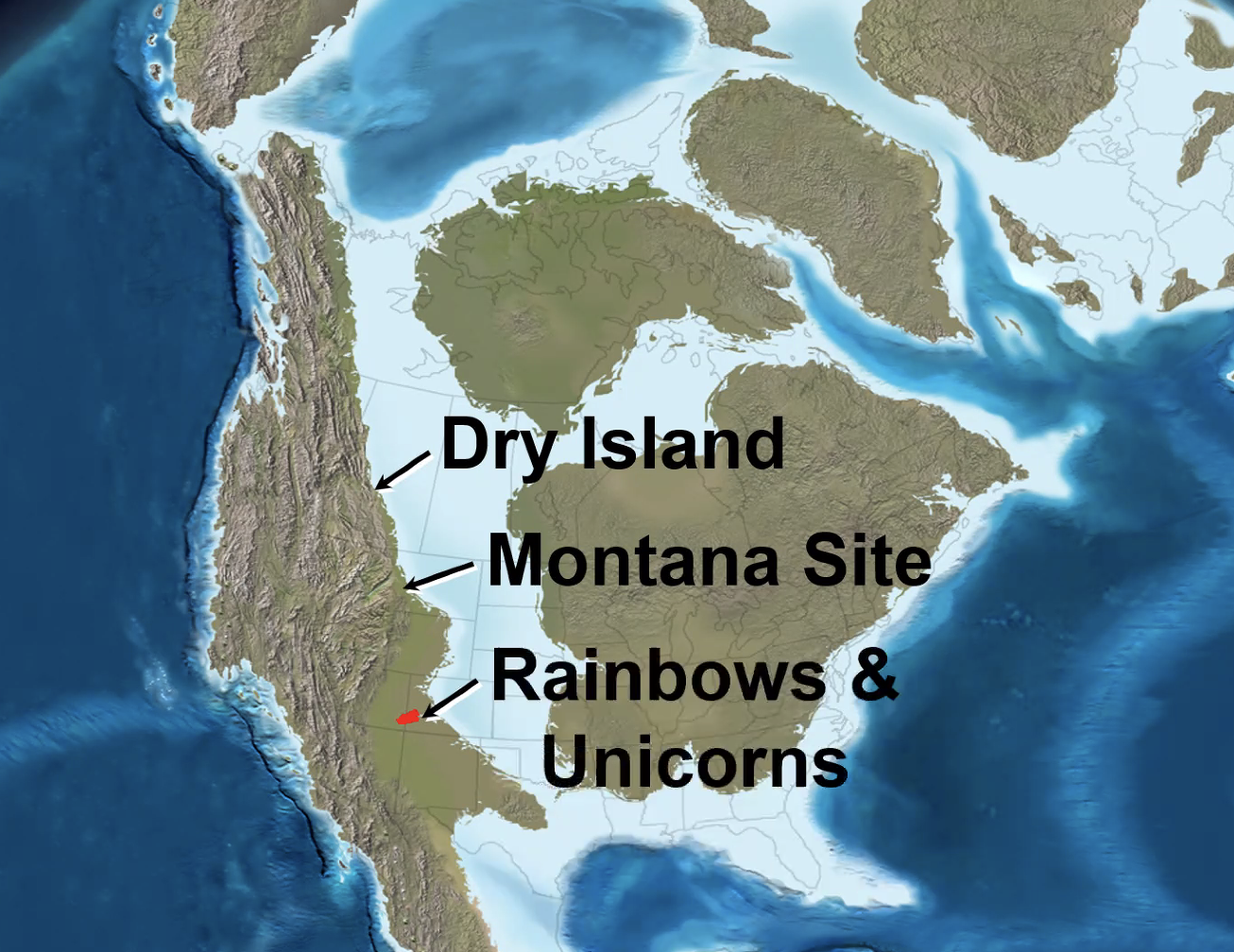 This map shows the general location where mass tyrannosaurs death sites have been located in North America.