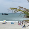 Have You Seen This? Torpedo bomber invades Florida beach