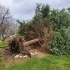 Hard freeze warning in effect tonight in parts of Utah after day of strong winds