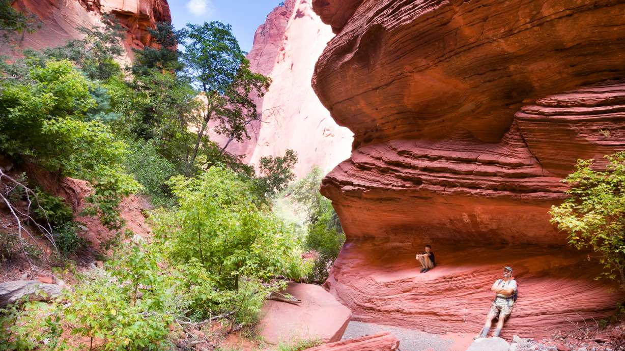 Zion National Park's Taylor Creek Trail reopens after large rockfall