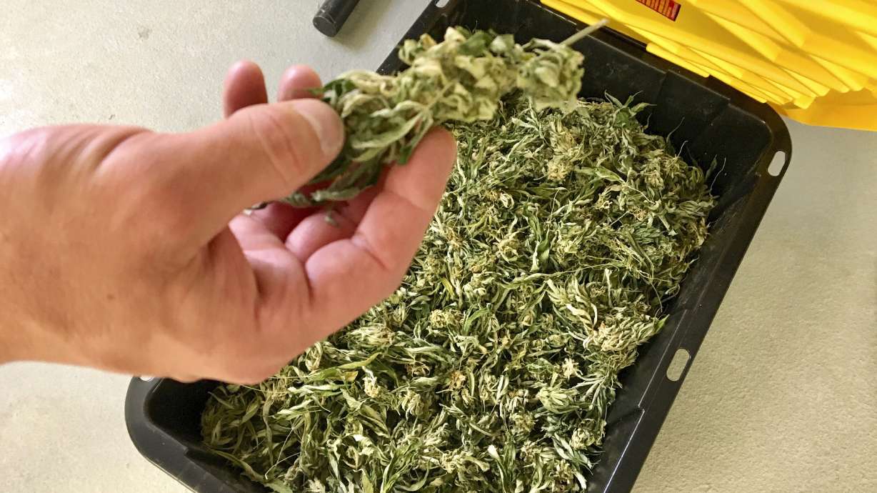 Medical marijuana legal in Utah, but not always affordable