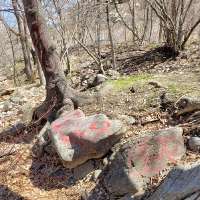 Ogden River: A story of unloved waters?