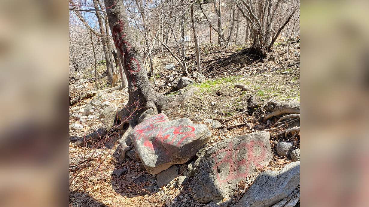 Ogden River: A story of unloved waters?