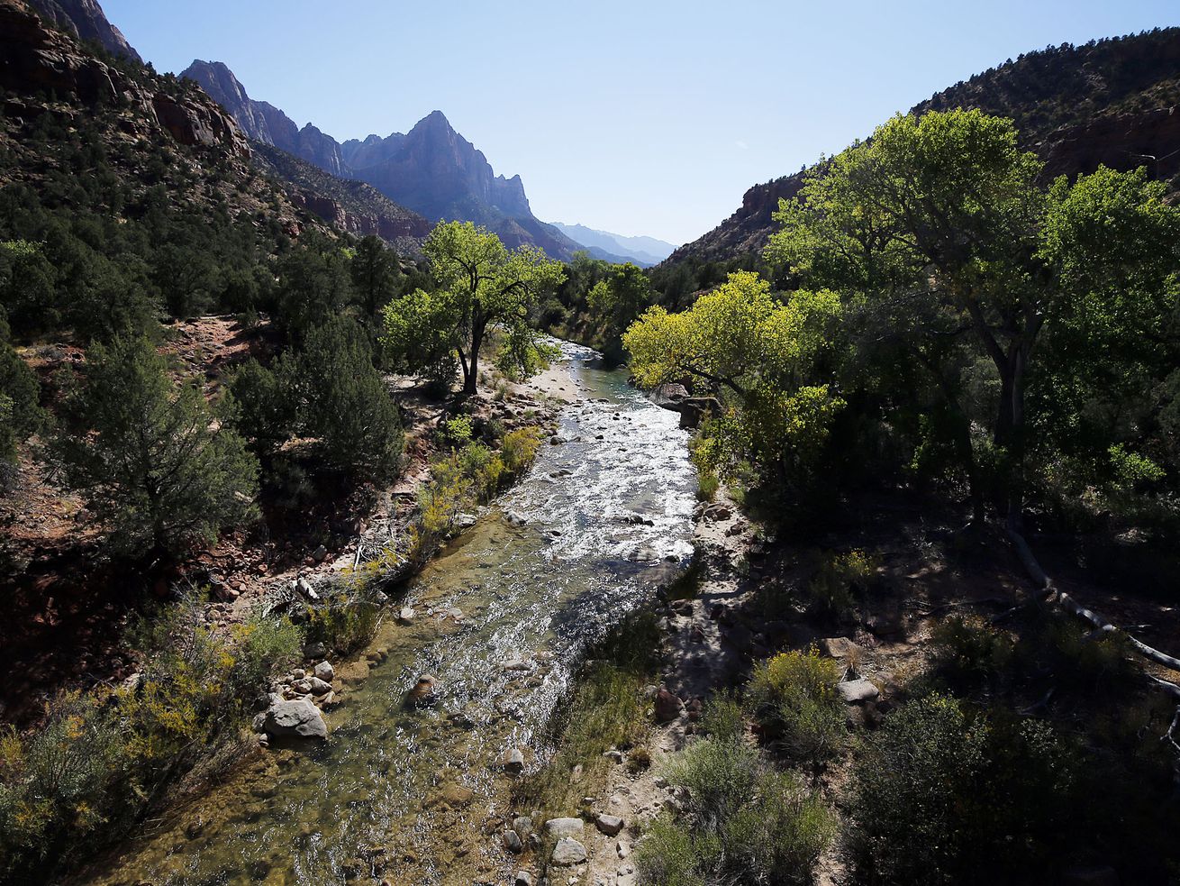 The Virgin River flows through through Zion National
Park on Wednesday, Oct. 14, 2020.