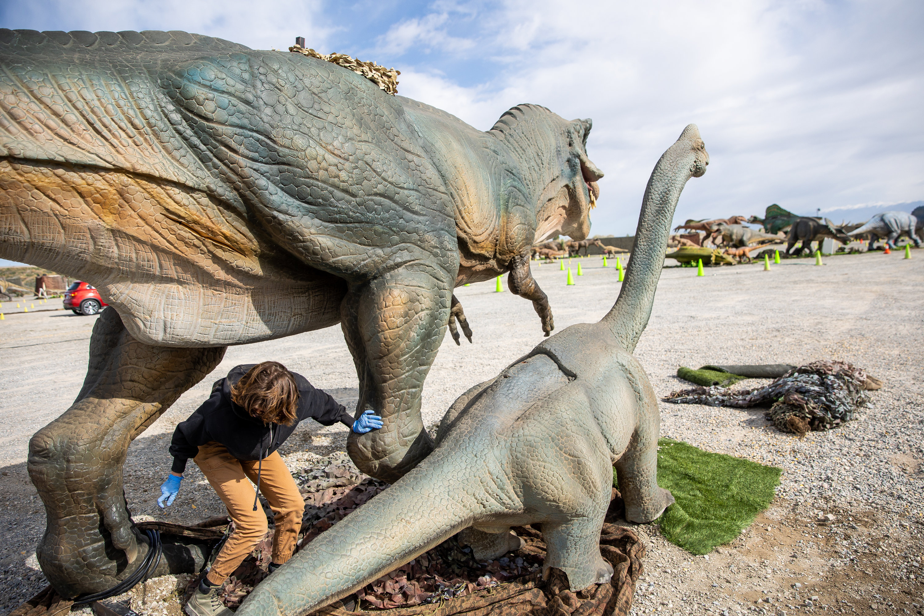 Brittney Manahan puts the final touches on a display of dinosaurs ahead of the opening of “Jurassic Quest Drive Thru” at the USANA Amphitheatre in West Valley City on Friday, April 23, 2021.