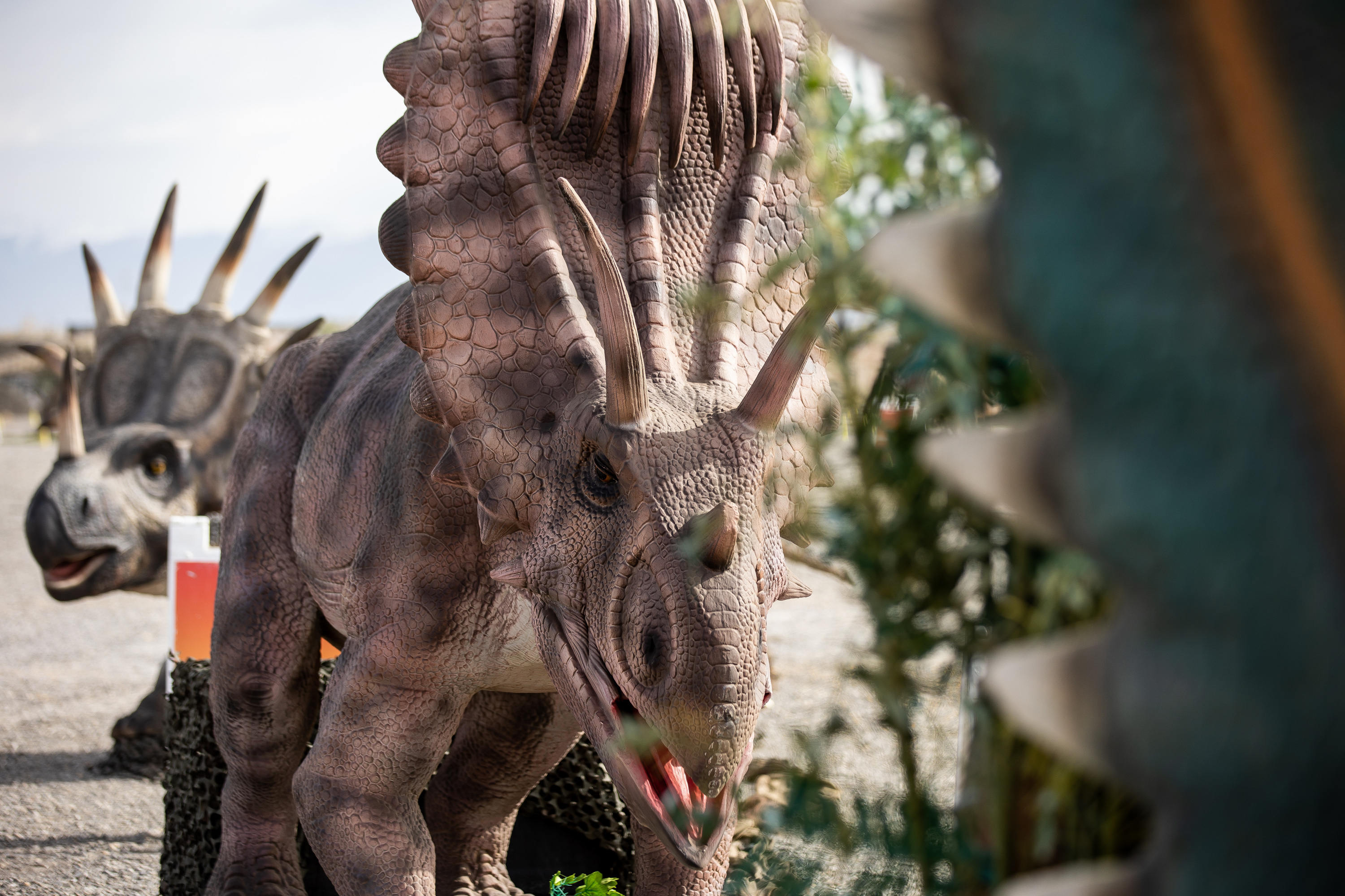 A display of dinosaurs is pictured ahead of the opening of "Jurassic Quest Drive Thru" at the USANA Amphitheatre in West Valley City on Friday, April 23, 2021.