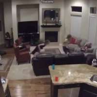 A bat in the basement tests Utah governor's 'fight or flight' reflex