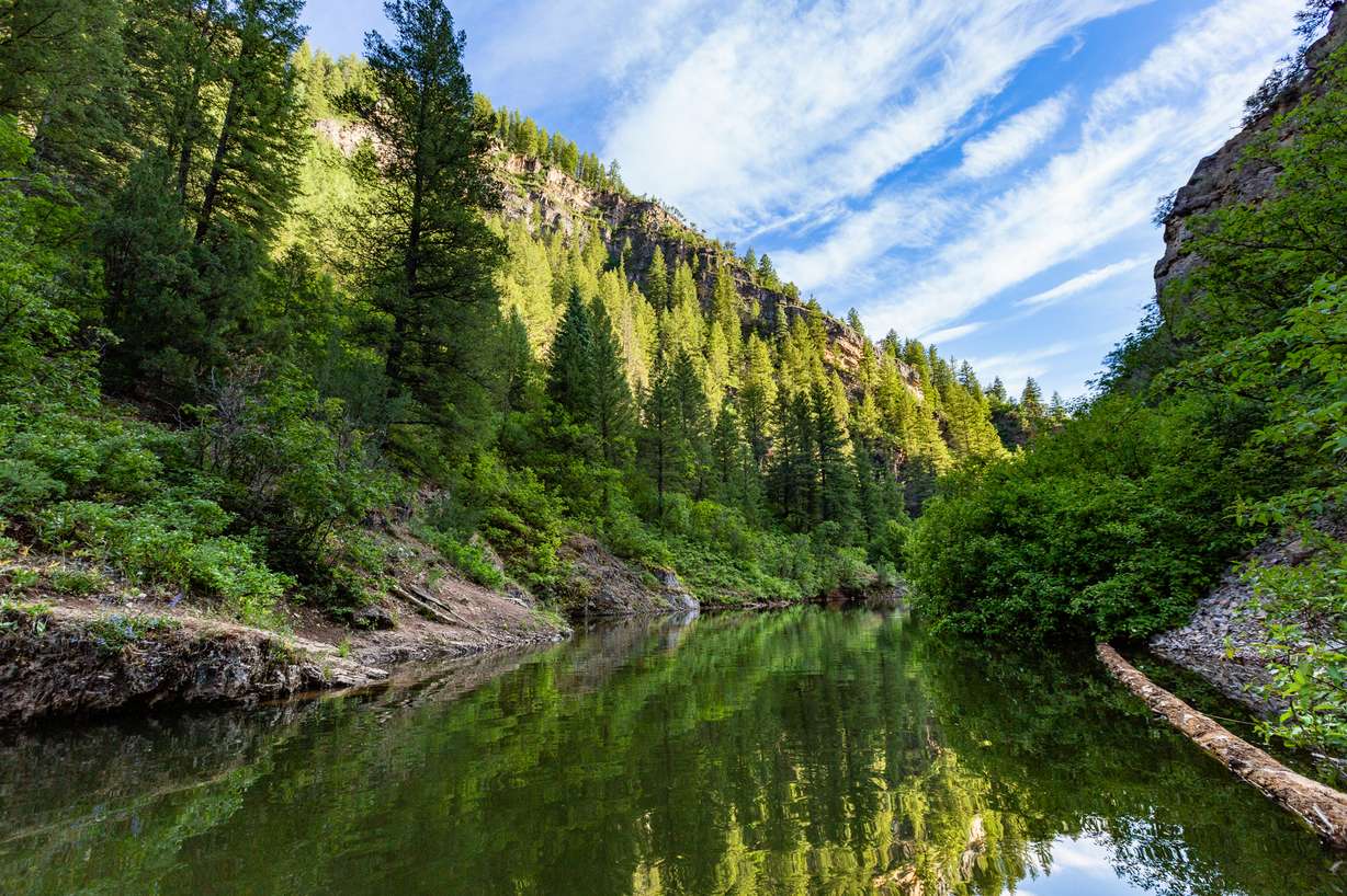 Canyon walls surrounding the arms of Causey Reservoir are terraced with exposed rock layers rich with fossil deposits, while the canyon bottoms are thick with vegetation.