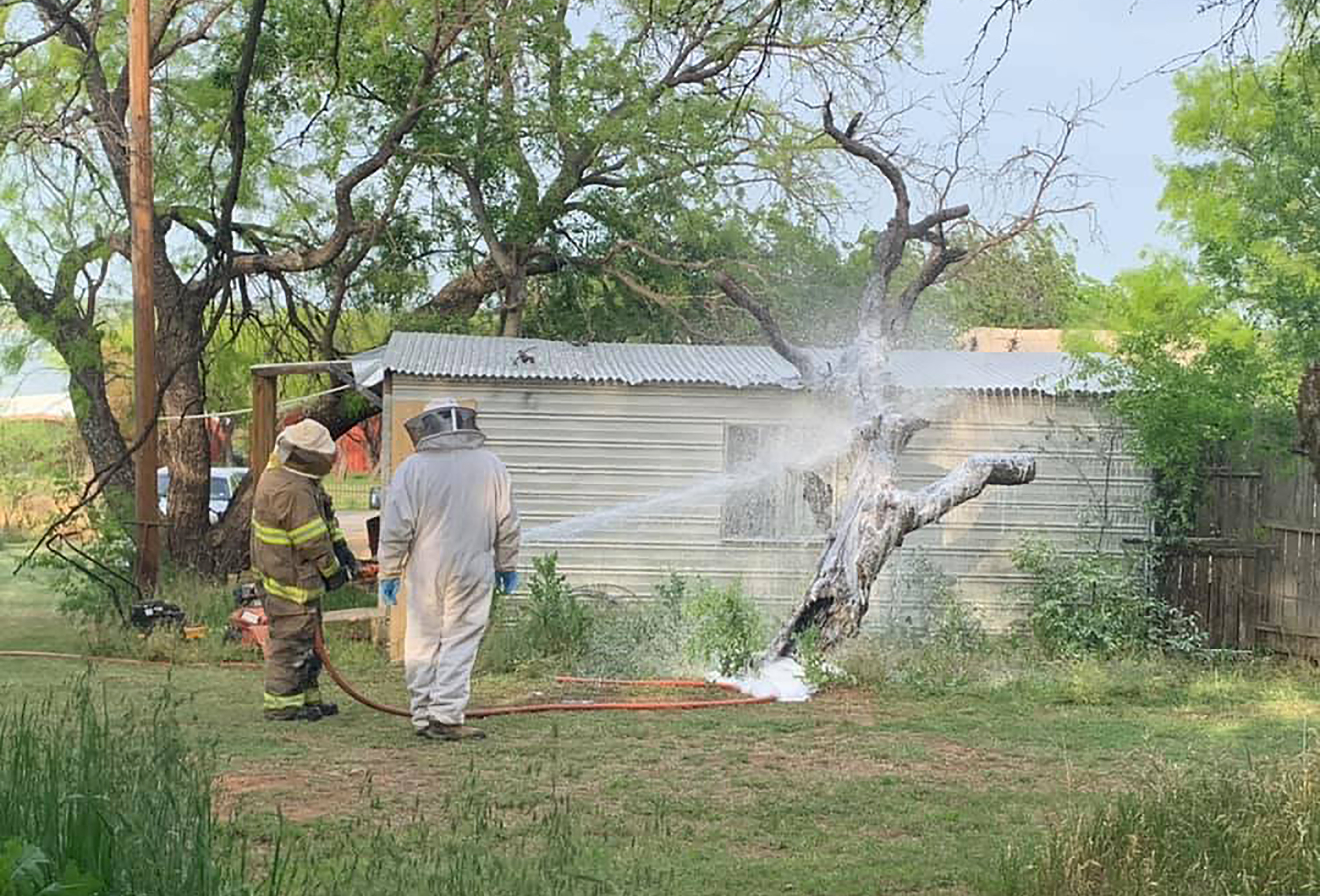 Texas man dies after attack by aggressive swarm of bees