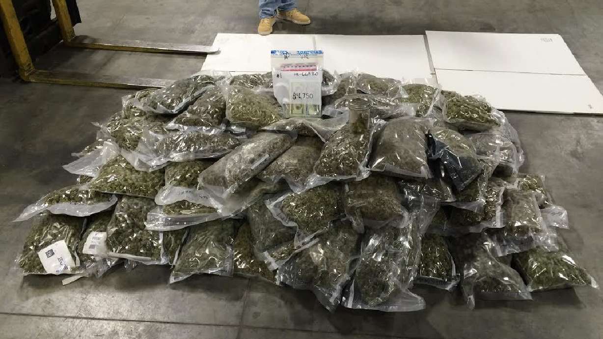 Police say more than 100 pounds of marijuana and more than $50,000 in cash were seized from a basement apartment in Riverton in May of 2018.