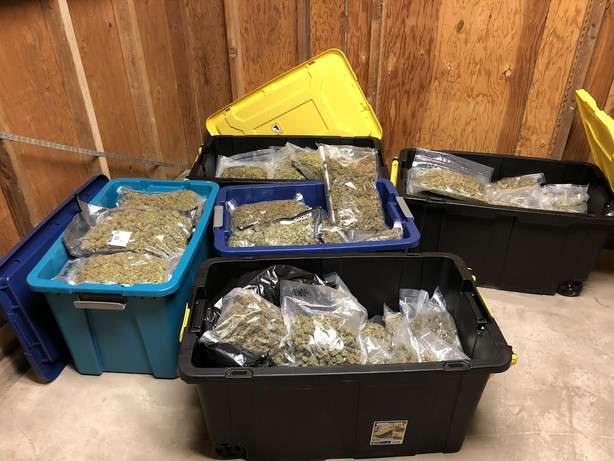 Police say more than 100 pounds of marijuana and more than $50,000 in cash were seized from a basement apartment in Riverton in May 2018.