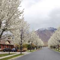 Utah warm-weather records could melt for last day of April