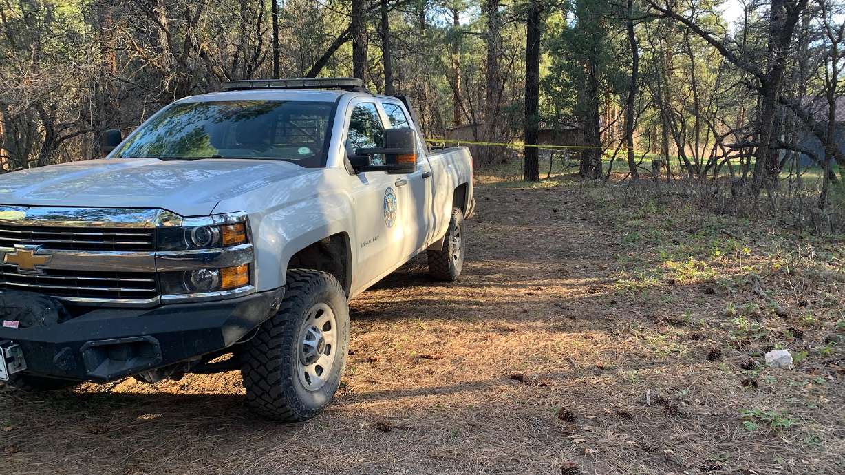 CPW wildlife officers and La Plata County Sheriff's deputies investigate the scene Saturday morning.