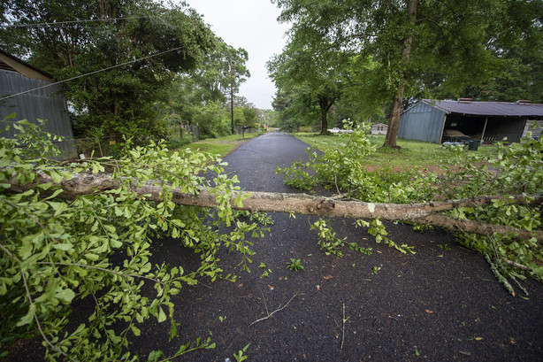 A fallen tree blocks Meadow Lane in Byram, Miss., Monday, May 3, 2021. (Eric Shelton/The Clarion-Ledger via AP)