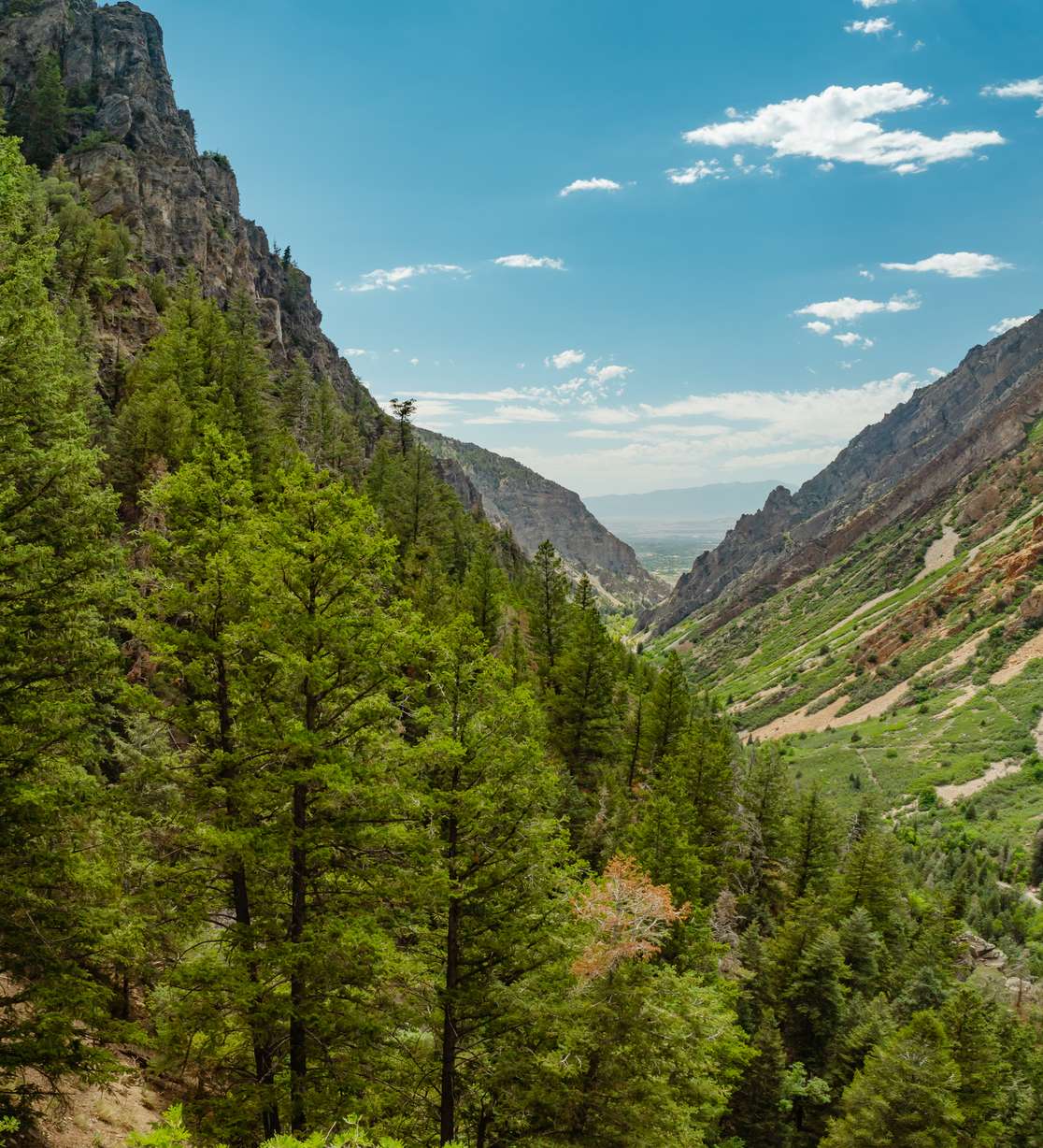 6 Utah County hikes that offer natural beauty, fun and adventure