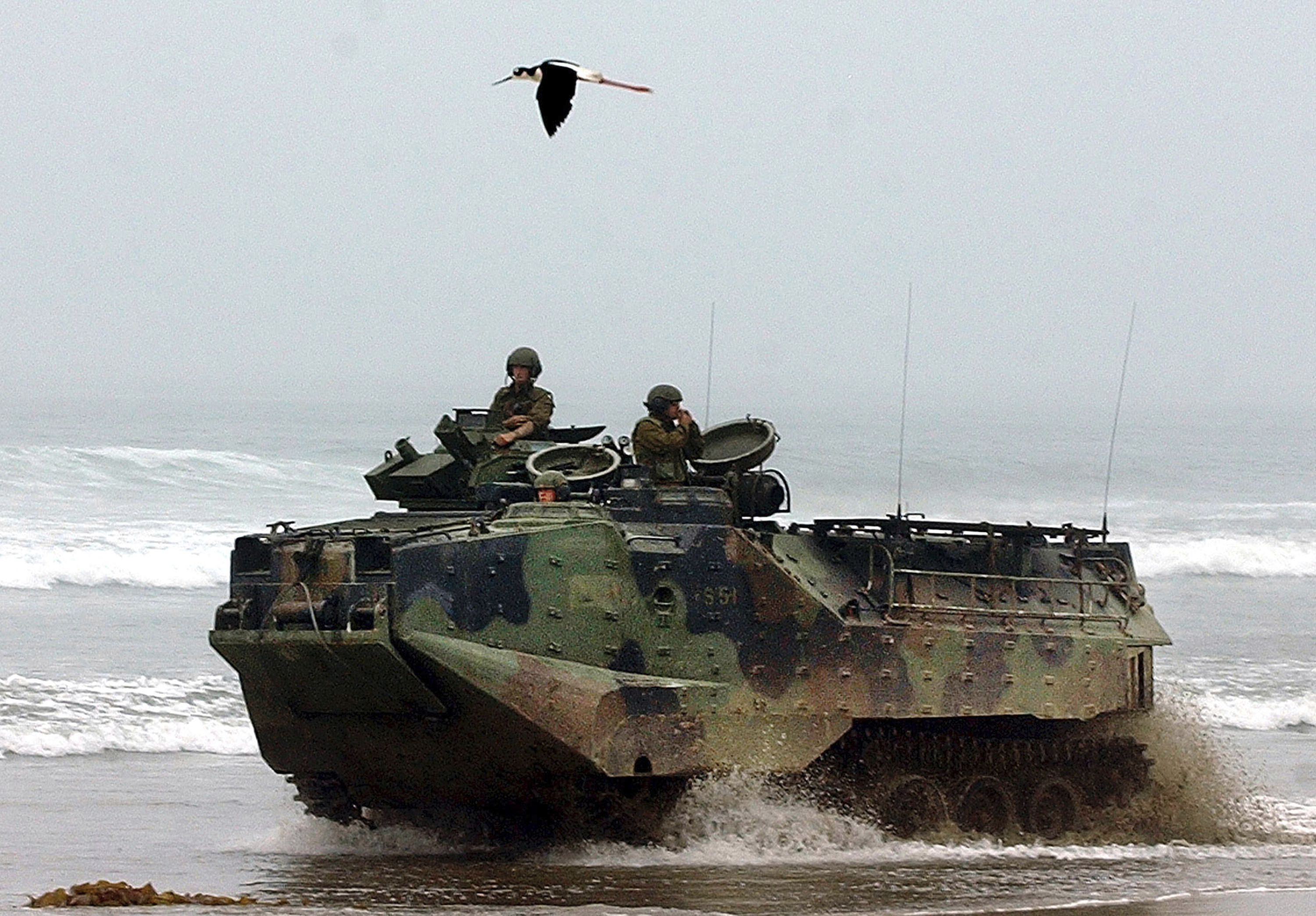 Marine inspector general suspended amid tank sinking probe