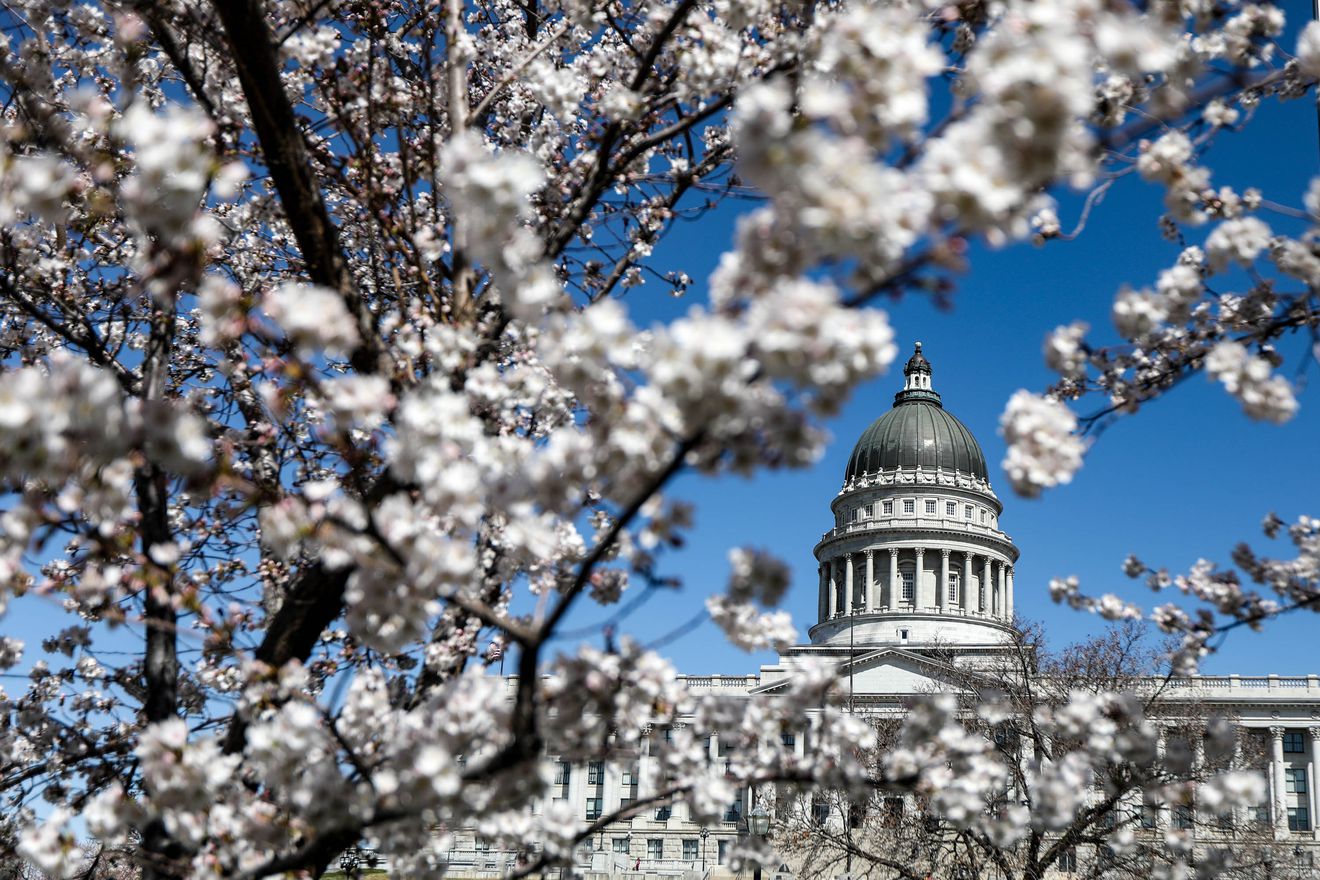 Cherry blossoms frame the Capitol in Salt Lake City on Monday, April 4, 2021.