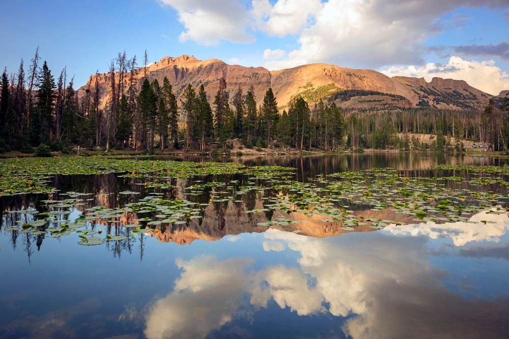 7 spectacular Utah road trips to take this spring