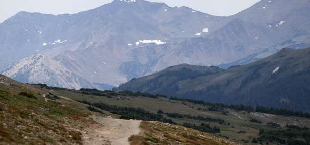 Woman killed in suspected mountain lion attack while hiking in northern Colorado