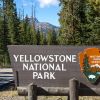 Yellowstone, Grand Teton parks to resume bus operations