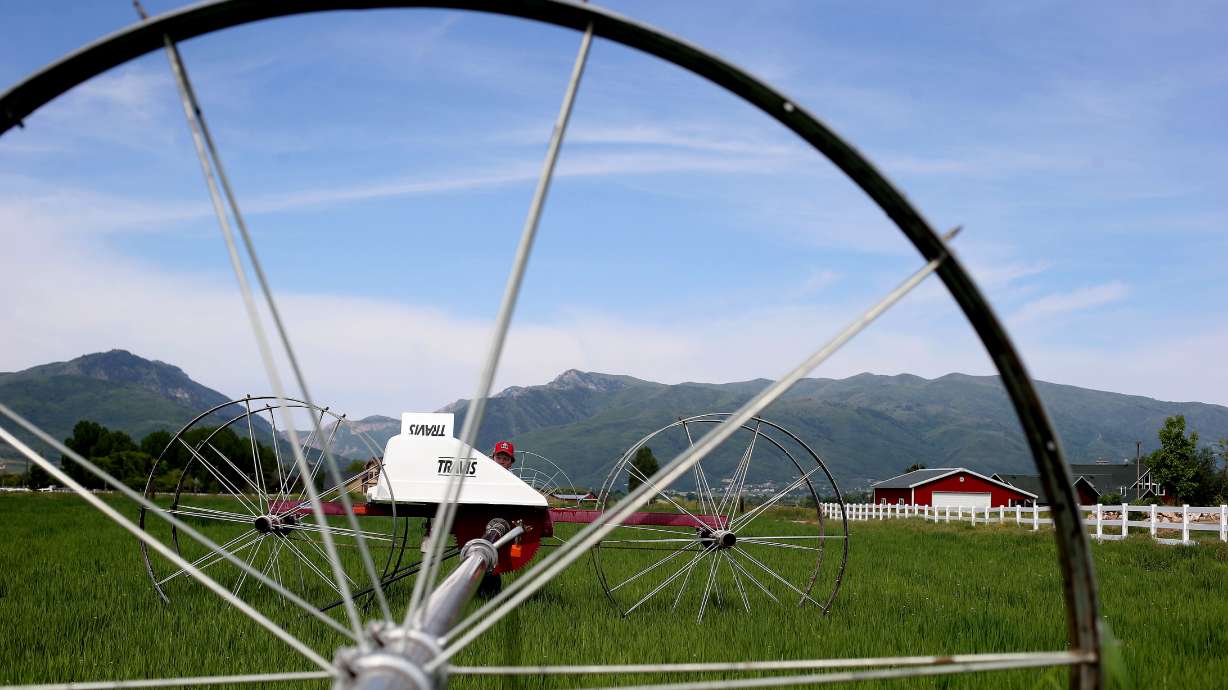 Garrett Grow pushes a wheel line irrigation system into position in Huntsville on Thursday, June 4, 2015.