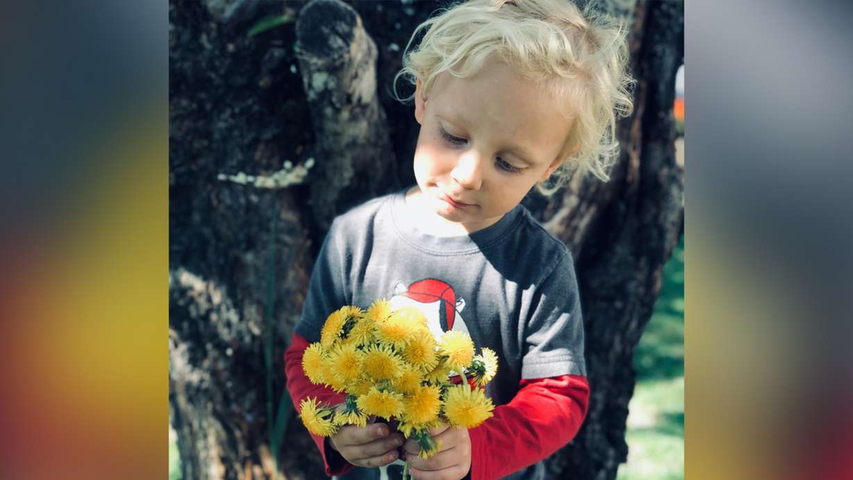 Arianne Brown's 3-year-old son holds the bouquet of dandelions he picked for her.