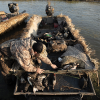 DWR proposes waterfowl hunting changes aimed to reduce crowding in Utah-managed areas