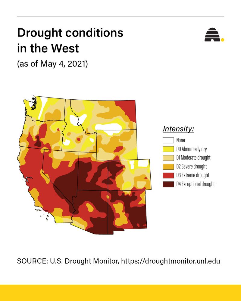 As water managers warn of 'worst on record' drought, what do people think should be done to save water?