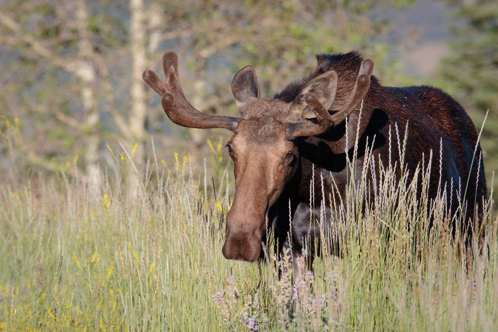 Utah adventures with Maverik: 7 Cache County adventures you need to experience