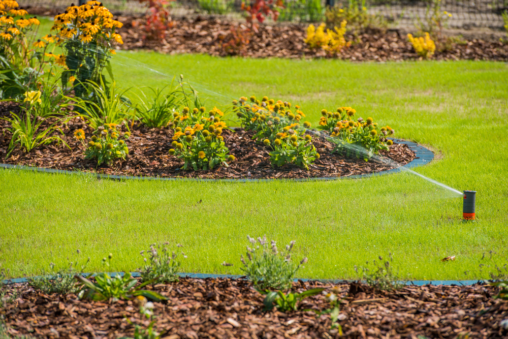 5 steps that can help get your yard drought-ready for summer