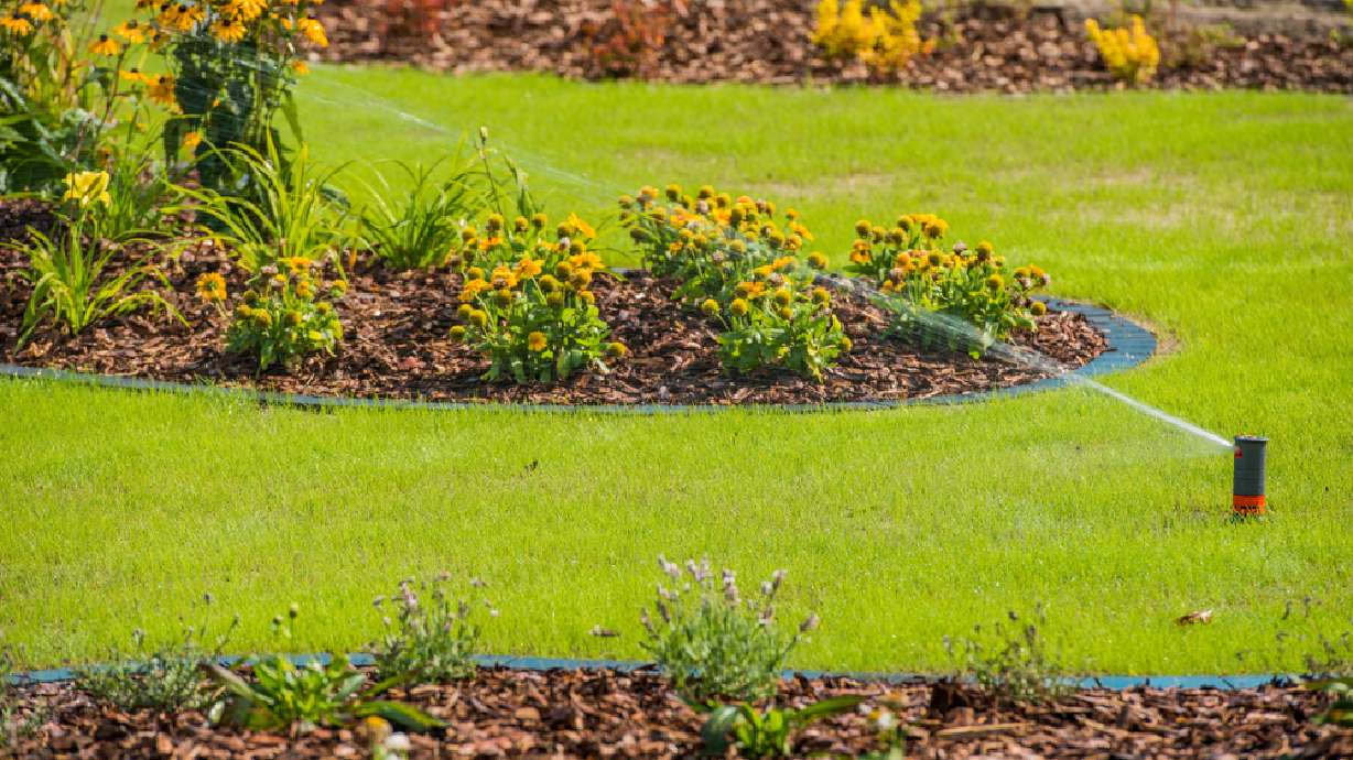 5 steps that can help get your yard drought-ready for summer