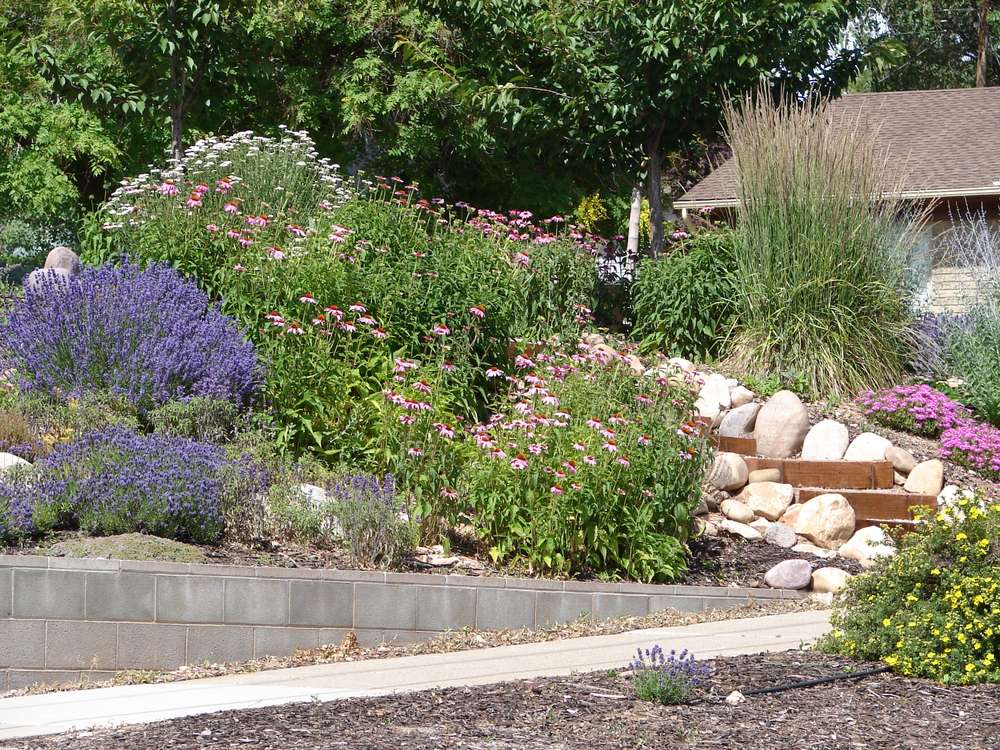5 steps that can help get your yard drought-ready for summer