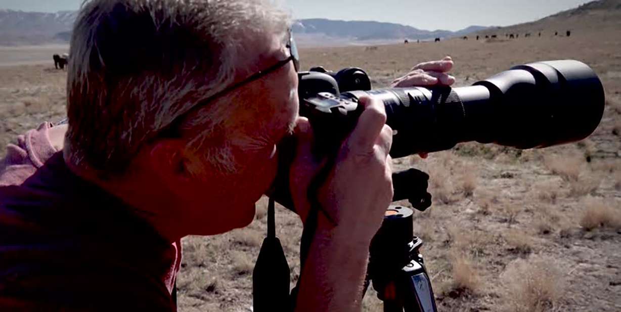 Kaysville tourist Dave Packer aims his camera at horses in Utah’s West Desert.