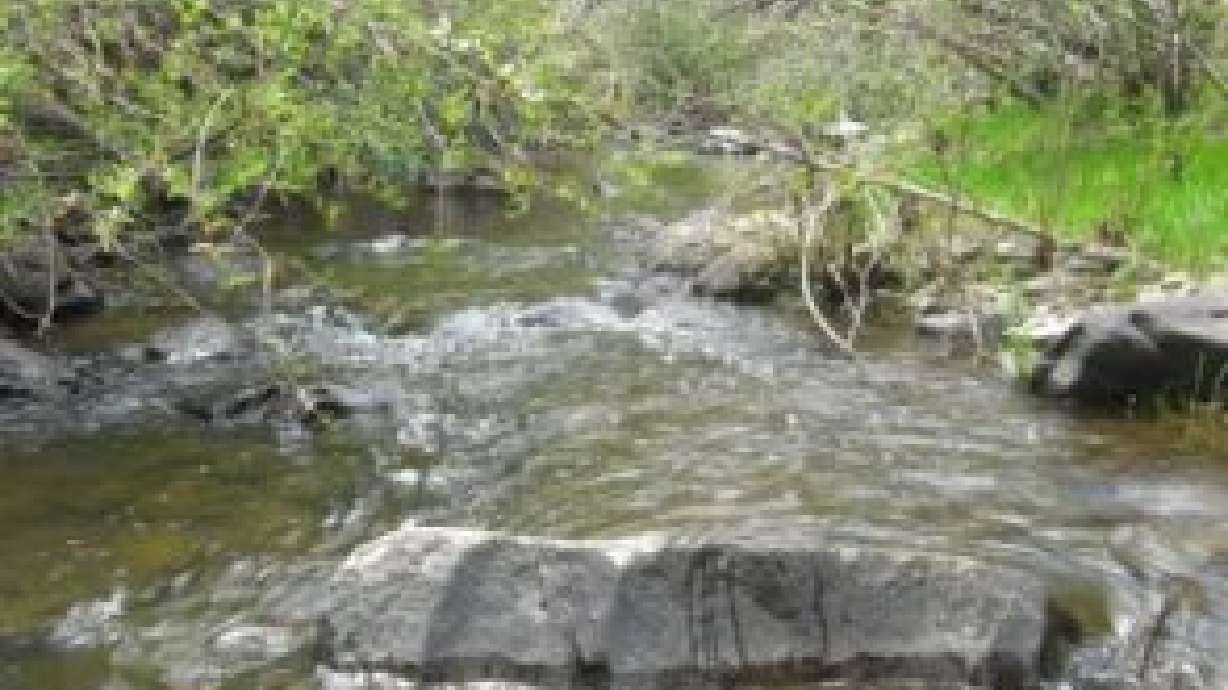 DWR: Drought could impact fishing this summer.