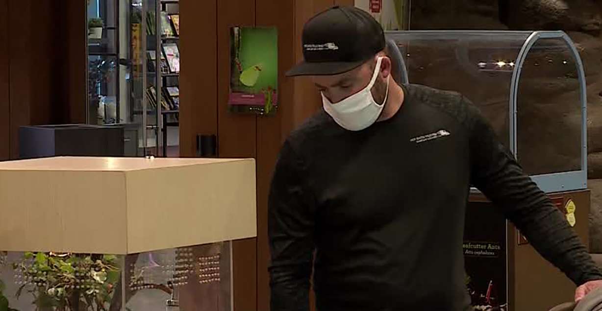 A customer browses at Thanksgiving Point Thursday, May 13, 2021.