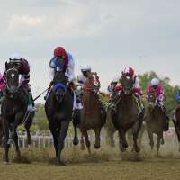 Horse racing has more questions than answers post-Preakness