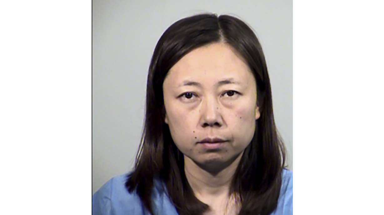 Arizona mom denies killing 2 children with meat cleaver