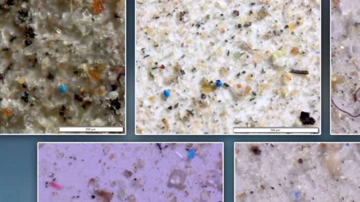 Plastic particles seen through a high-power microscope.