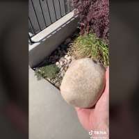 This Utah man hopes to trade his way up — from a rock to a house