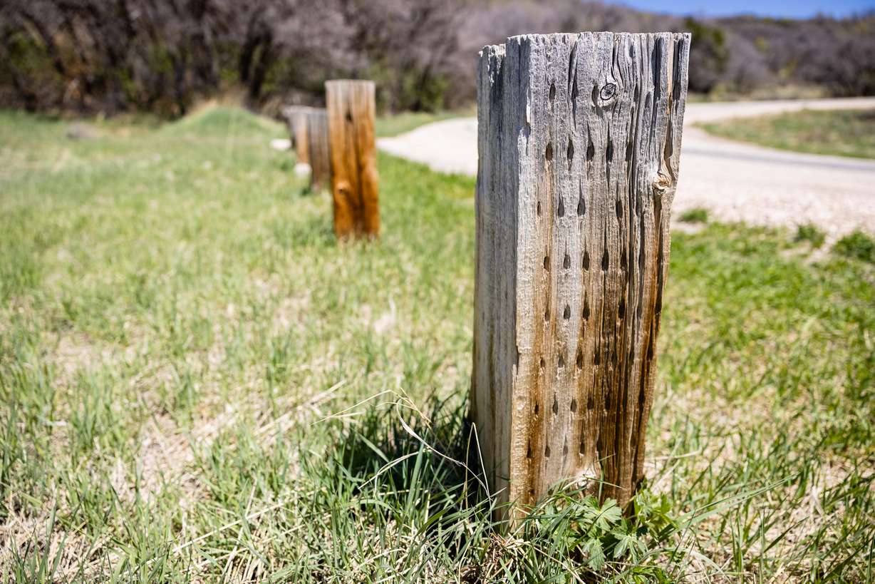 Douglas Lovell told police in 1993 that he’d led Joyce Yost over a guardrail that was once connected to these posts along the Old Snowbasin Road before strangling her to death.