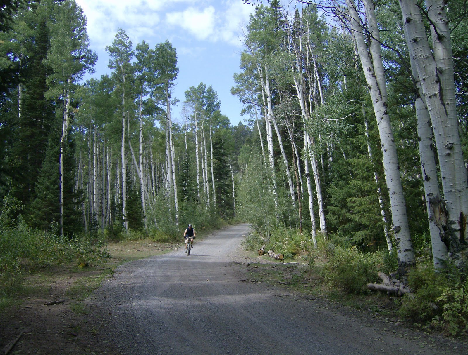 In need of balance: Mountain biking for senior citizens
