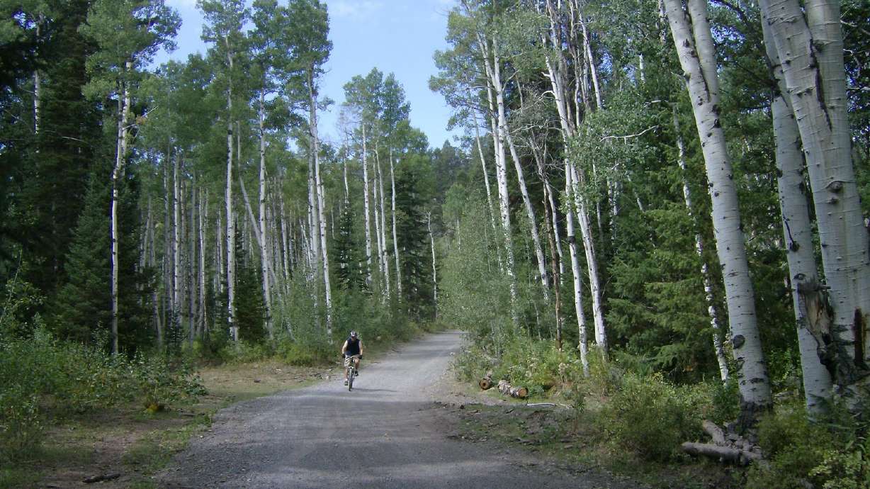 In need of balance: Mountain biking for senior citizens