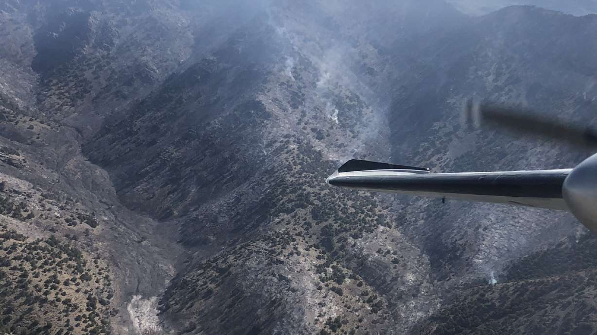 Goat Springs Fire 20 percent contained, burns 444 acres