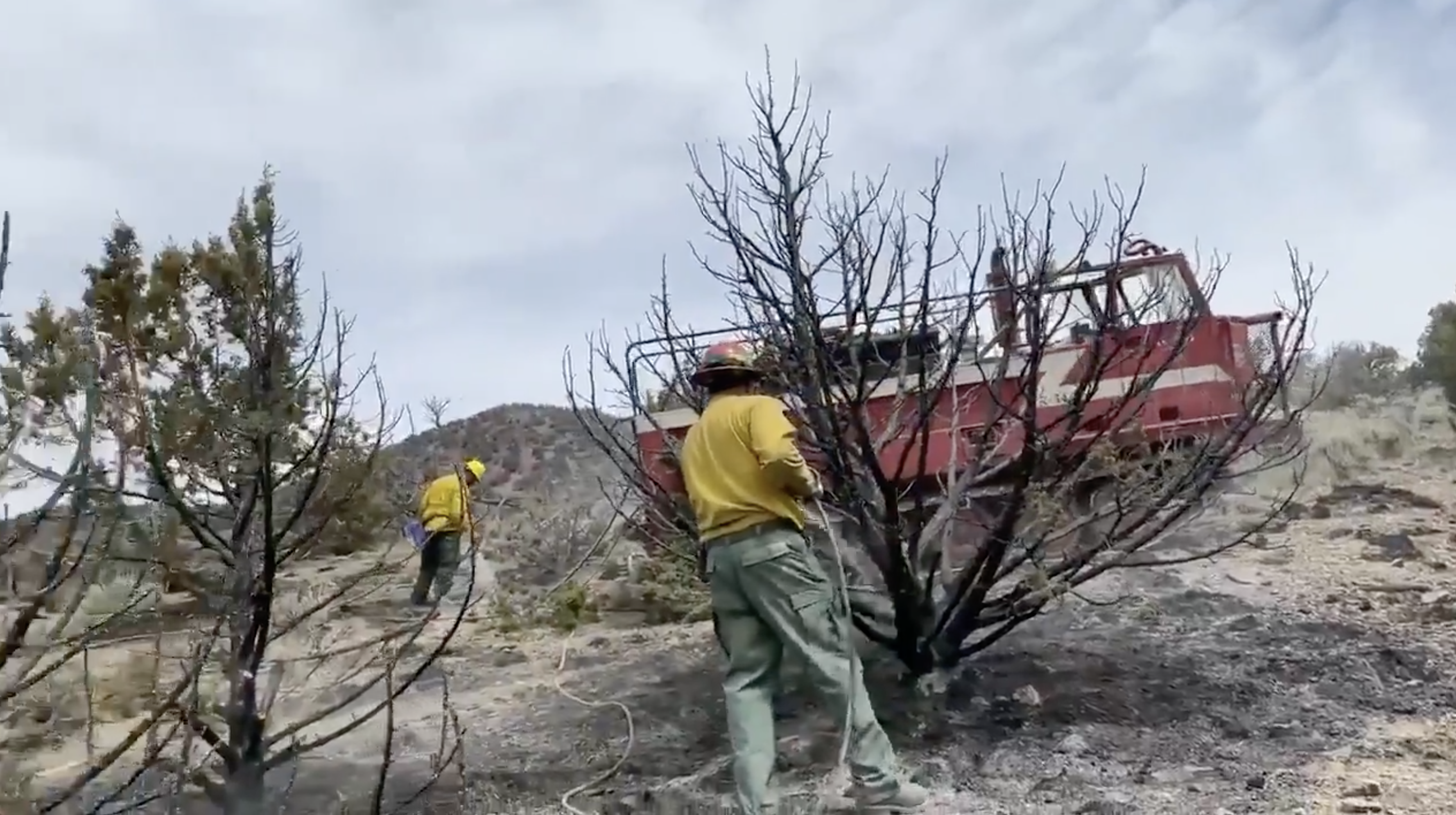 Wildland fire crews work on controlling the Goat Springs Fire, burning west of Eureka in Juab County, on Monday, May 31, 2021.