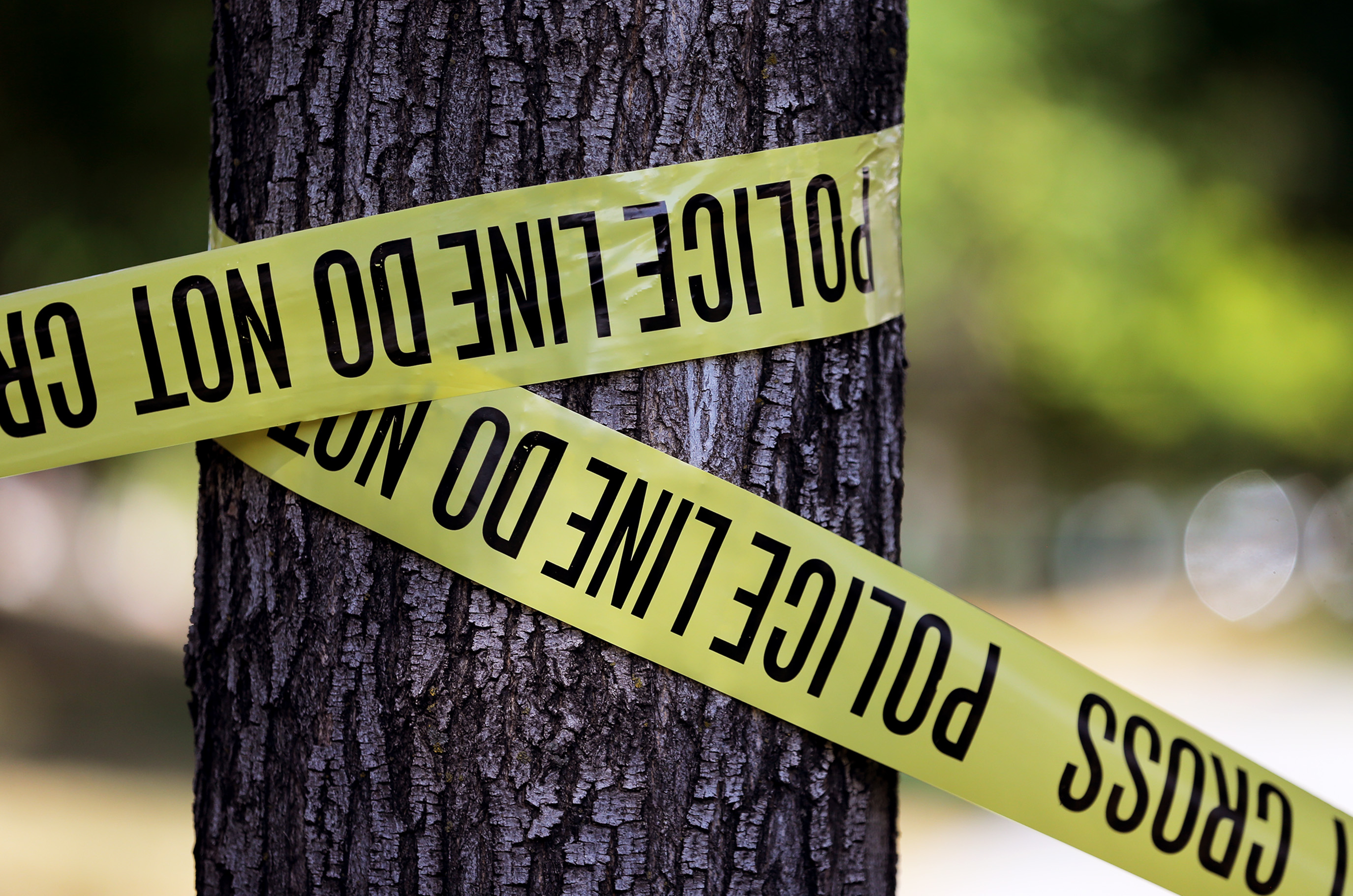 A 5-year-old boy died Sunday after finding a gun inside his Smithfield, Cache County, home and accidentally shooting himself, police say.