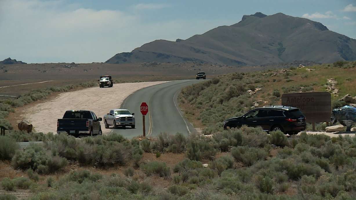 Have Utah's tick numbers ticked up? What the state's recent climate means for ticks, humans, pets and wildlife