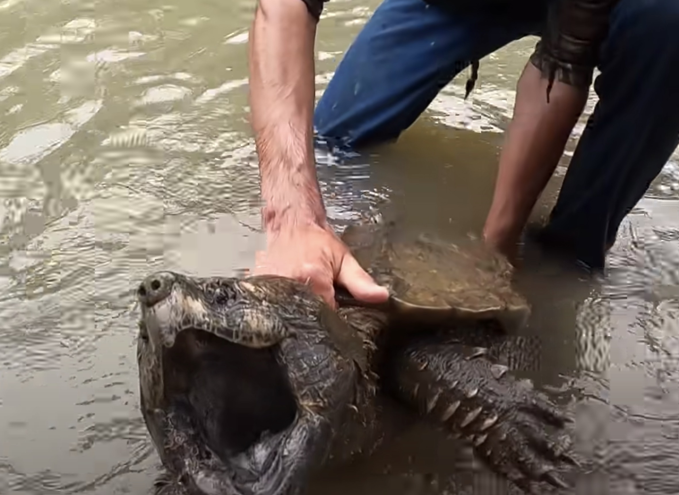 Have You Seen This? Fisherman accidentally hooks into a river monster