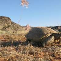 6 groups sue feds over decision to reapprove Washington County highway plan